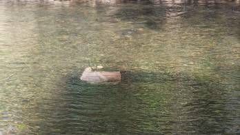 Elmer Quintero / El Siglo