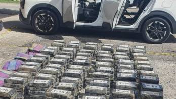 Los 365 paquetes de presunta droga fueron ubicados dentro de una camioneta durante un operativo policial realizado en Río Hato.