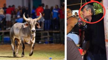 En cuestión de segundos quedó trepado en la barrera.