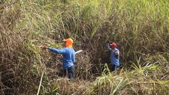 Reclusos sudaron la gota. Limpiaron y reforestaron por el día de la tierra&nbsp;