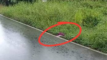 El sospechoso dejó un abrigo a orillas de la calle, a entrar al rastrojo donde arrastró a la víctima.