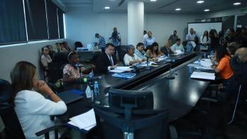 Rosalía Hudson presentó el caso de su nieta en una mesa técnica de la Comisión de la Mujer, la Niñez, la Juventud y la Familia de la Asamblea Nacional (AN).