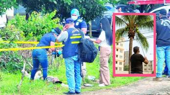 Muere electrocutado cuando tumbaba cocos con una vara de metal