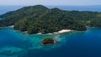 Los sitios más verdes de Panamá: un refugio de naturaleza y biodiversidad