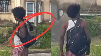 En las imágenes se muestra el perezoso, aunque luego el hombre intentó esconderlo.