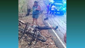 Viajaba en su bicicleta, se estrelló contra un árbol de teca y falleció