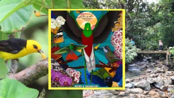 El Valle de Antón será sede del Primer Festival de Aves y Biodiversidad