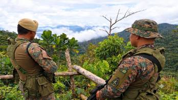 Colombia y Panamá participan en operación.