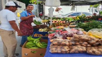 Con atención a partir de las 8:00 de la mañana.