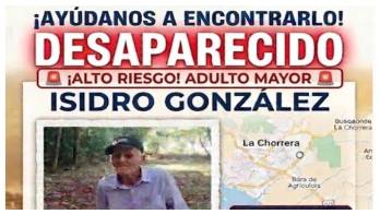 Durante la búsqueda, los propios familiares habrían sido también atacados por abejas,