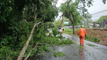En varias zonas esperan los mayores acumulados de lluvias.