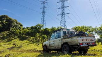 Las condiciones climatológicas adversas registradas en distintos puntos de la zona afectada han retrasado parcialmente los trabajos de recuperación del sistema.