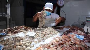 Los productos del mar representaron el 19% de las exportaciones de bienes del país entre enero y junio de 2026.