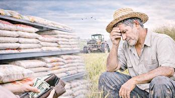 Productores indican que esta distorsión en el mercado pone en riesgo la producción nacional.