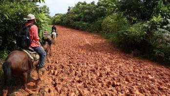 Áreas en donde se construirán las vías.