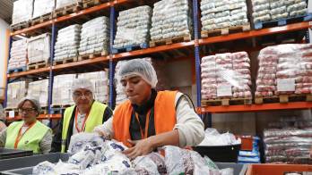 Trabajadores del Banco de Alimentos de Bogotá seleccionan productos destinados a los afectados por el terremoto de magnitud 7,4, en Bogotá (Colombia). EFE/ Mauricio Dueñas Castañeda