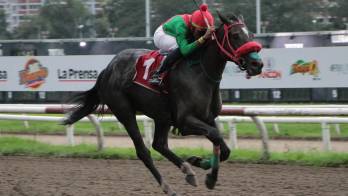 La ganadora rumbo a la meta.