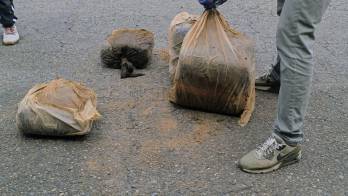 Colón | Hallan caleta subterránea con 280 paquetes de droga en Cuango