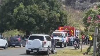 Las autoridades recomendaron extremar precauciones en zonas donde se han reportado enjambres de abejas