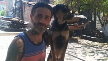 ¡Todo un héroe! Perro salva a su dueño y gato de un incendio
