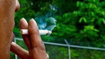 Consumo de tabaco puede generar cáncer en casi todos los órganos del cuerpo