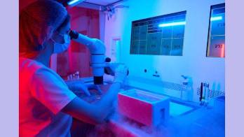 Esta tecnología está disponible en Panamá.