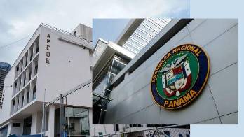 APEDE rechaza el proyecto de amnistía. Mire por qué