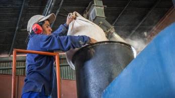 Empleos en Panamá: Más altos los sueños... y los salarios