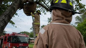 Bomberos movilizan equipos especializados para atender cada incidente de manera segura y oportuna.