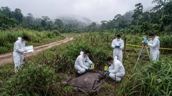 Panamá cerró el año 2023 con un total de 544 víctimas de homicidio.