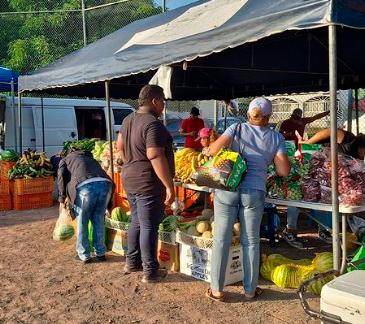 Vista Alegre tiene Agro Feria hoy