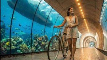 Un cruce peatonal y ciclista sin precedentes que uniría la ciudad de Panamá y el West por debajo del Canal de Panamá, impulsando movilidad, turismo y una visión de ciudad moderna.