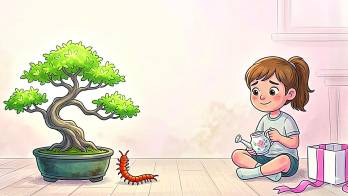 [Cuento] Bonsái y yo