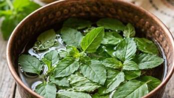Ritual de miel y menta para atraer la suerte en la lotería