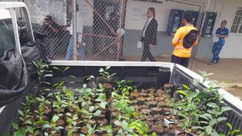 Privados de libertad contribuyen a la reforestación del país