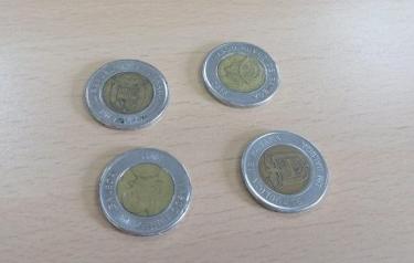 Monedas “Martinelli” serán sacadas de circulación