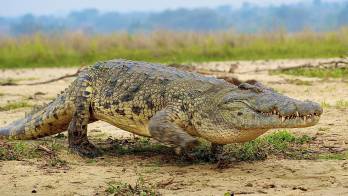 Durante el juicio, la defensa argumentó que el acusado era un hombre de fe y amoroso.