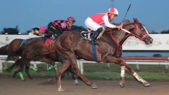 ‘Daddy King’ llegando a la meta ganadora.