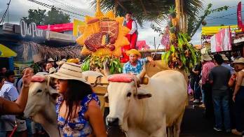 El Festival Nacional de La Mejorana, en Guararé, es una de las máximas expresiones del folclor panameño y un símbolo de las tradiciones que identifican al país.