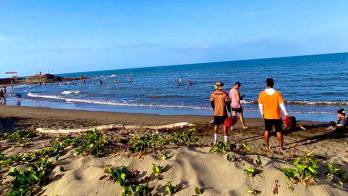 Este domingo 18 de enero un aproximado de 215 personas visitaron la playa El Uverito.