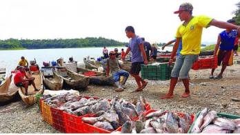 Movimiento de Pescadores Artesanales pide que las calles sean reabiertas