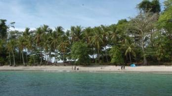 Designan a George Hanily como&nbsp; nuevo Director Ejecutivo de ANCON