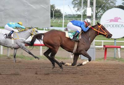 José Batista saca la casta
