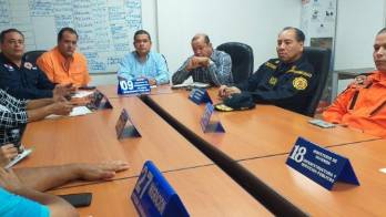 Realizarán tala de árboles enfermos en Chiriquí