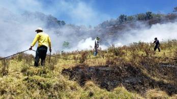 En estos incendios mueren muchos animales silvestres a causa de las llamas.