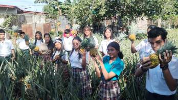 Los estudiantes sintieron el agradable aroma de esta fruta tan consumida por los panameños