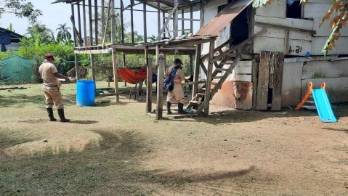 Así está el dengue, la malaria, leishmaniasis y hantavirus en Panamá&nbsp;