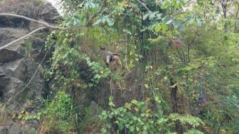 Sitio en donde fue divisado el cadáver.