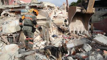 Un rescatista del Ejercito de México junto a su perro trabajan en un edificio afectado por los terremotos del pasado miércoles, en La Guaira (Venezuela). EFE/ Ronald Peña R.