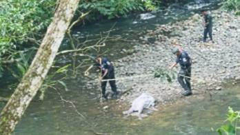 La víctima había ido a disfrutar de una tarde de baño cuando lo sorprendió la muerte